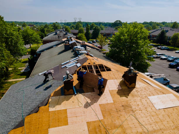Quick and Trustworthy Emergency Roof Repair Services in Sunbury, PA
